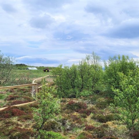 hundagardurinn-stellulundur-15.jpg