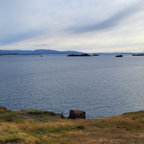 sugandisey 23.08.23.jpg