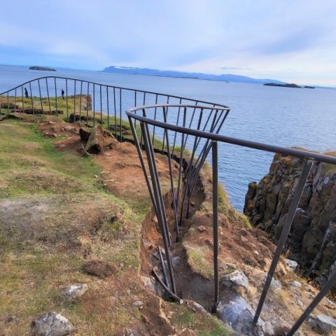 sugandisey 23.08.23.jpg