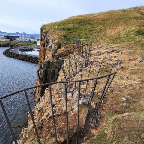 sugandisey 23.08.23.jpg