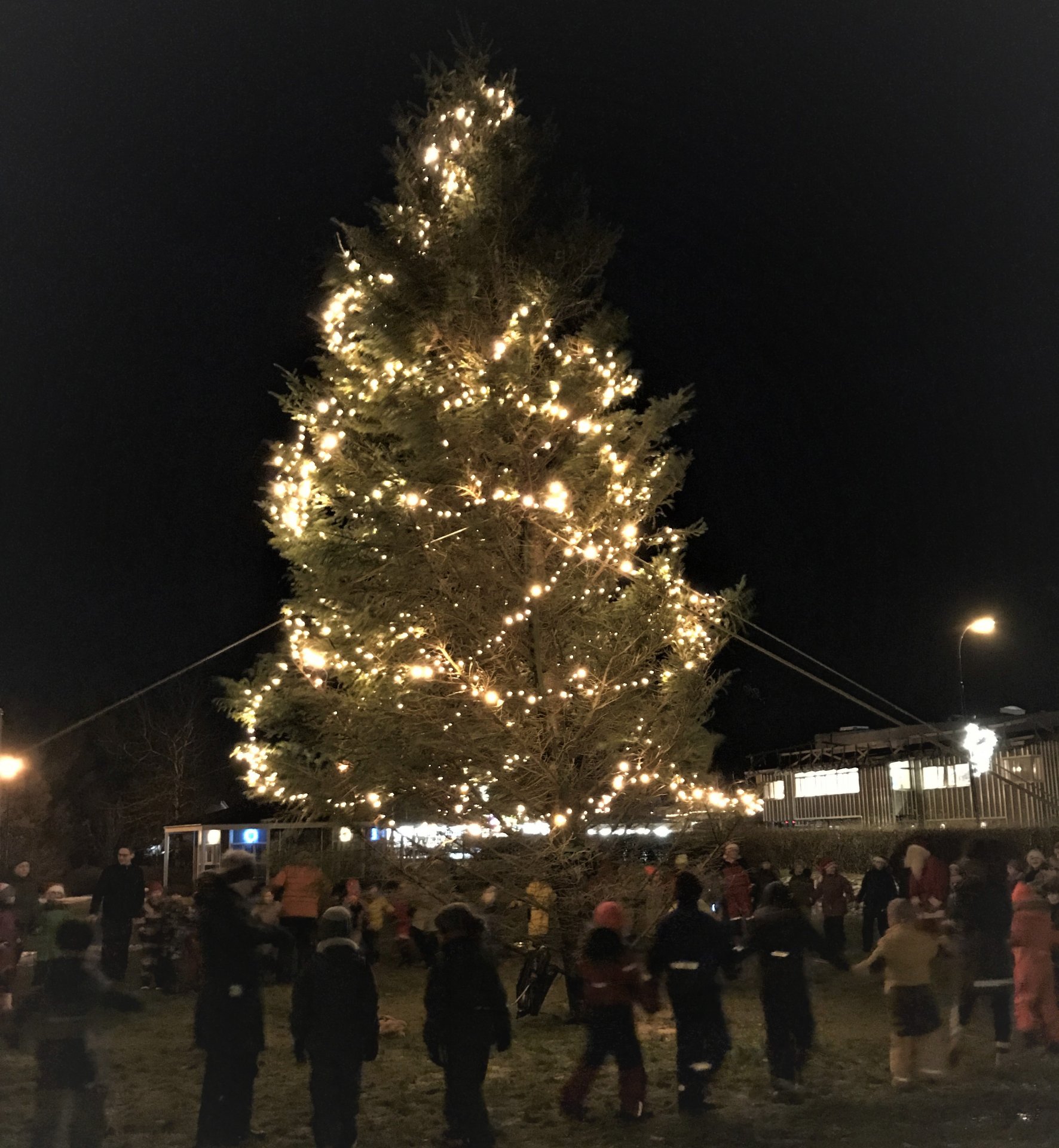 Jólaljósin tendruð við lágstemmda athöfn