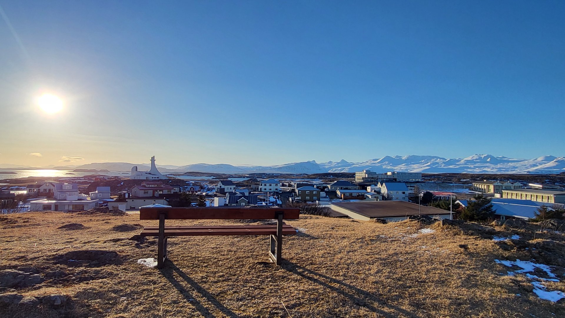 Sú gula er tíður gestur í Stykkishólmi