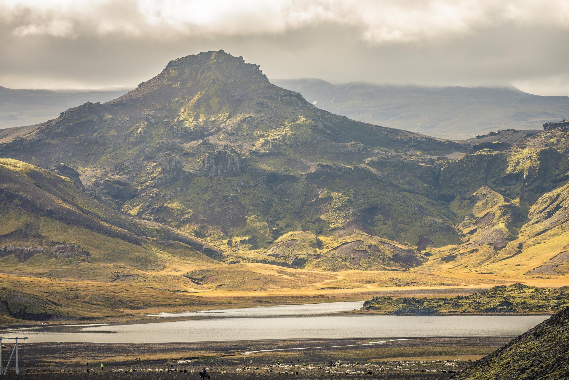 Kosið í dreifbýlisráð 7. nóvember