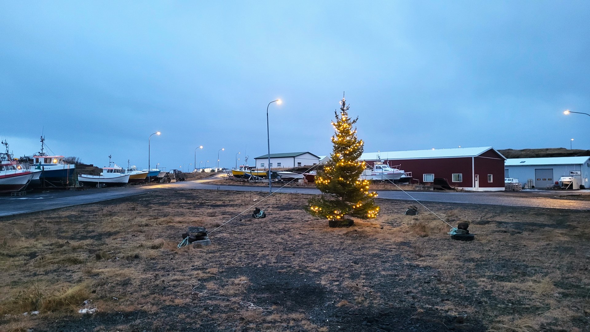 Jólatré við Skipavík