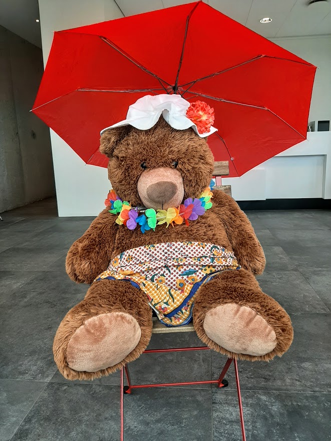 Sumarlestur Amtsbókasafnsins er hafinn