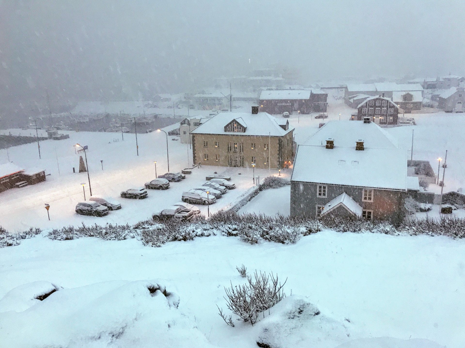 Græna tunnan tæmd í dag