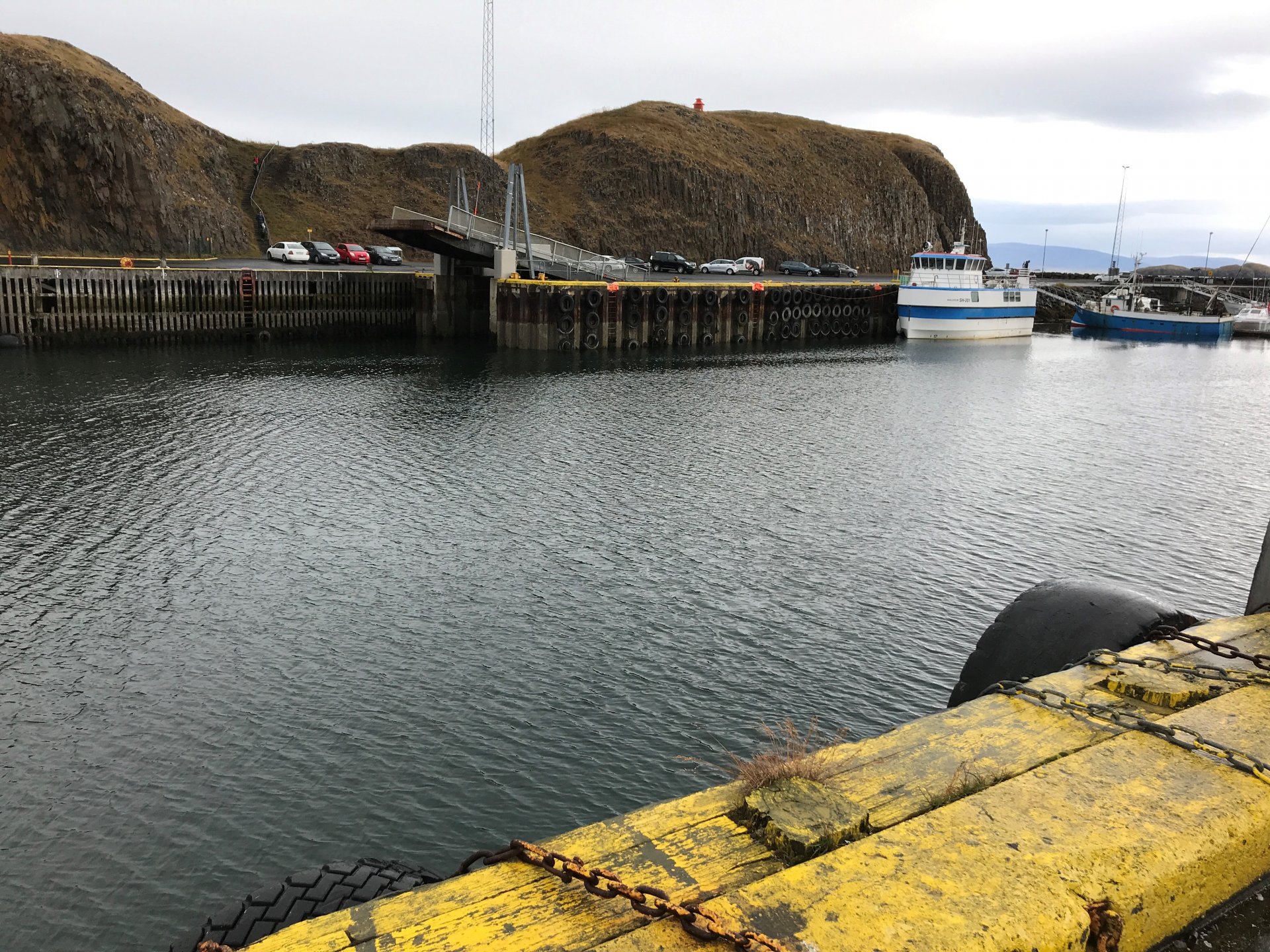 Óheimilt að synda í höfninni