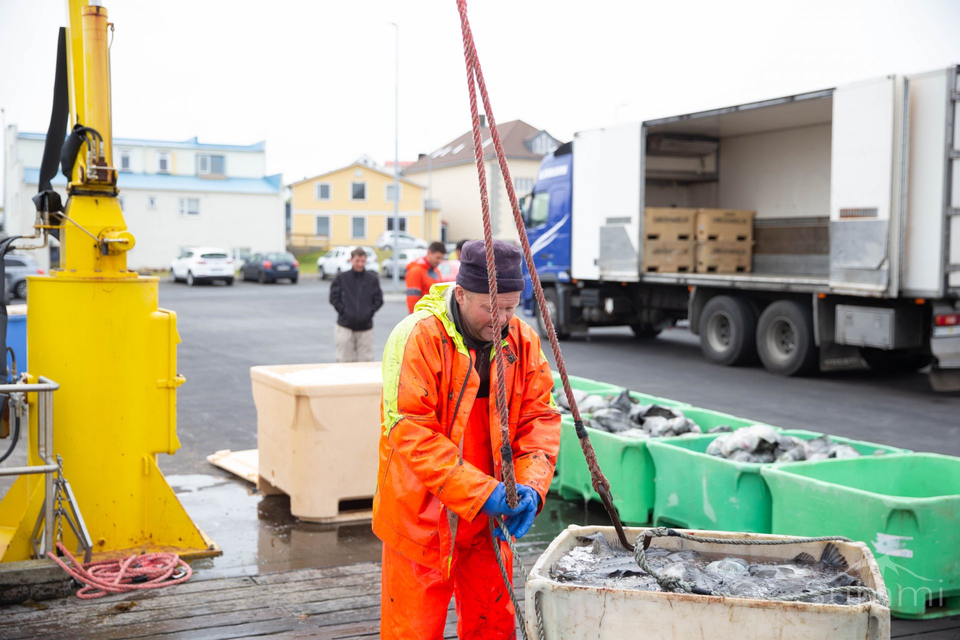 Ályktun bæjarstjórnar Stykkishólmsbæjar  vegna stöðvunar veiða á grásleppu