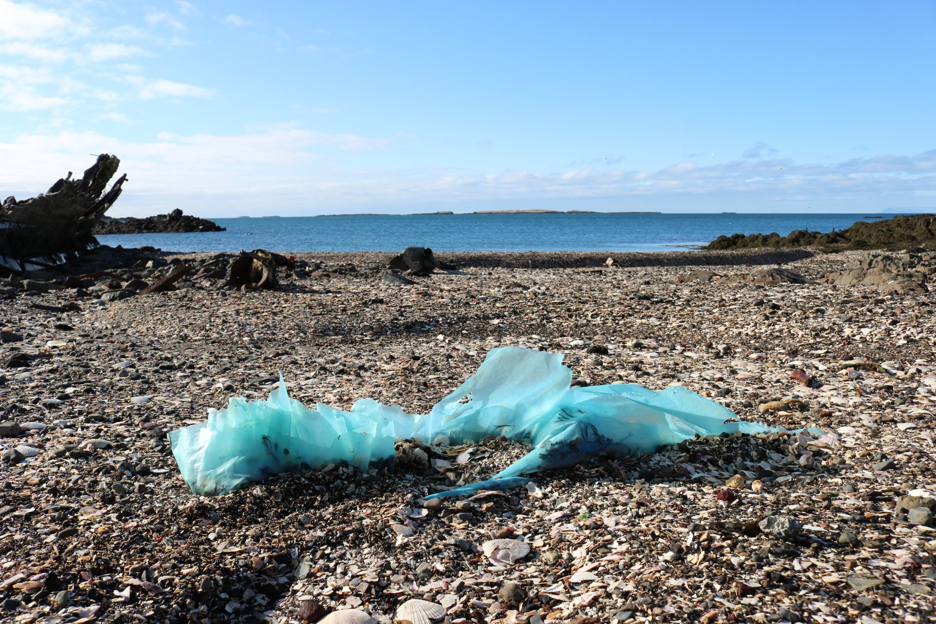 Stóri plokkdagurinn 2023