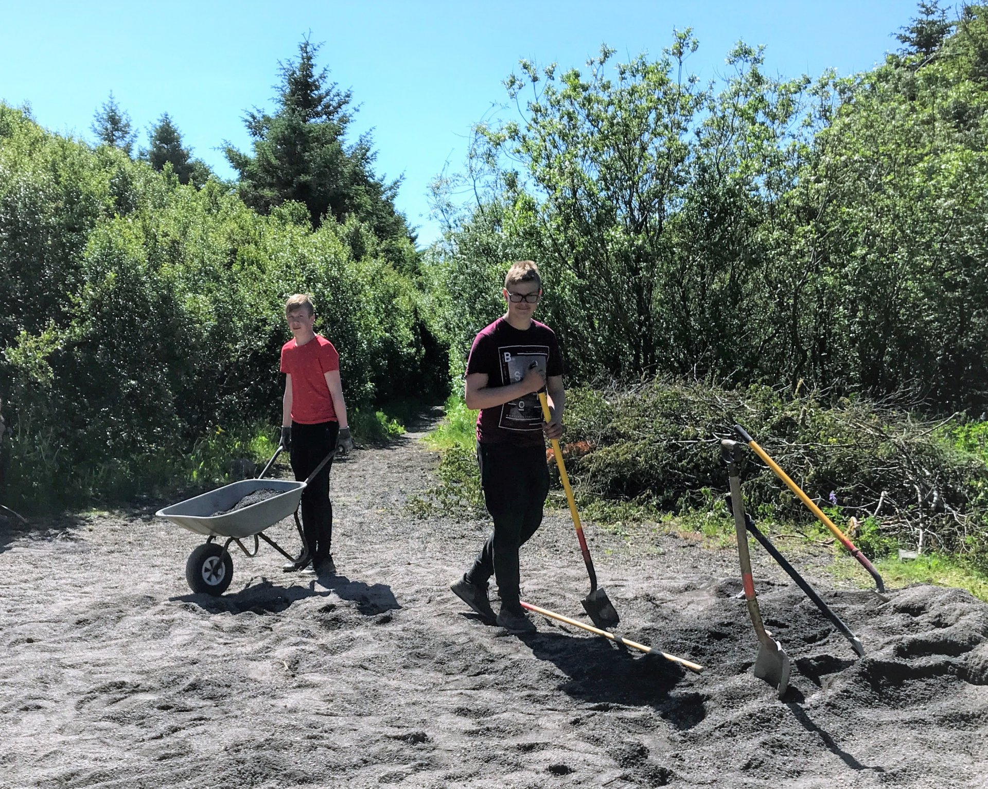 Starfsmenn vinnuskólans við störf í Nýrækt 2020