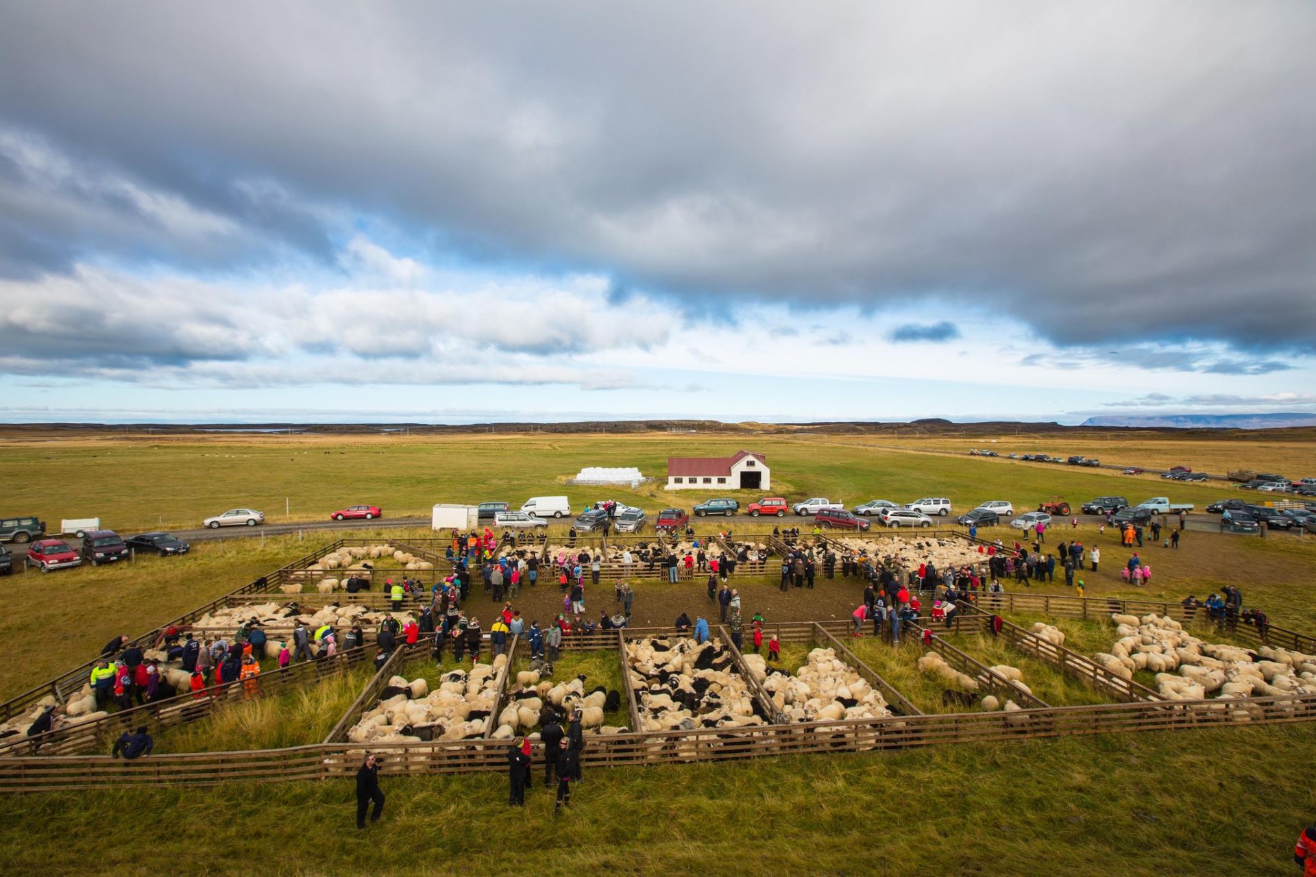 Réttir í Arnarhólsrétt