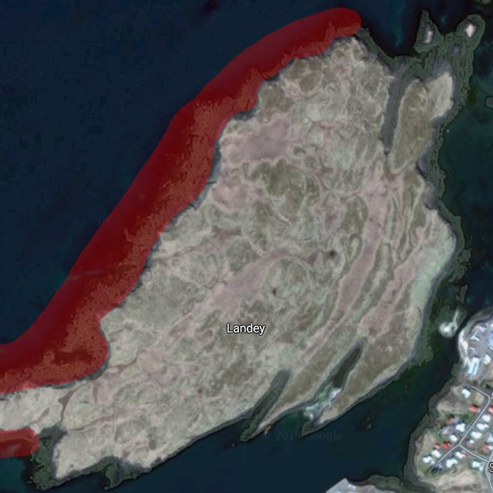 Réttindi til nýtingar sjávargróðurs við Landey til leigu