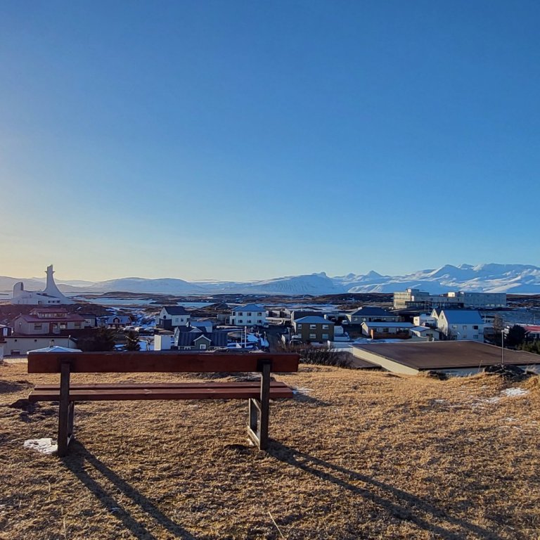 Sú gula er tíður gestur í Stykkishólmi