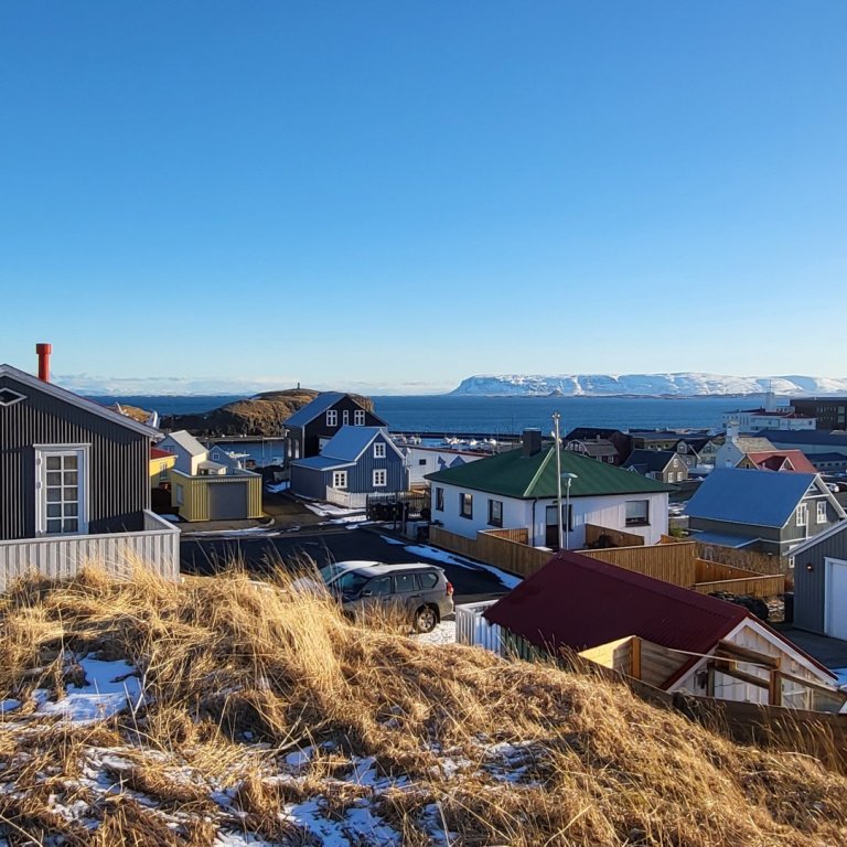 Tilsjónaraðilar óskast