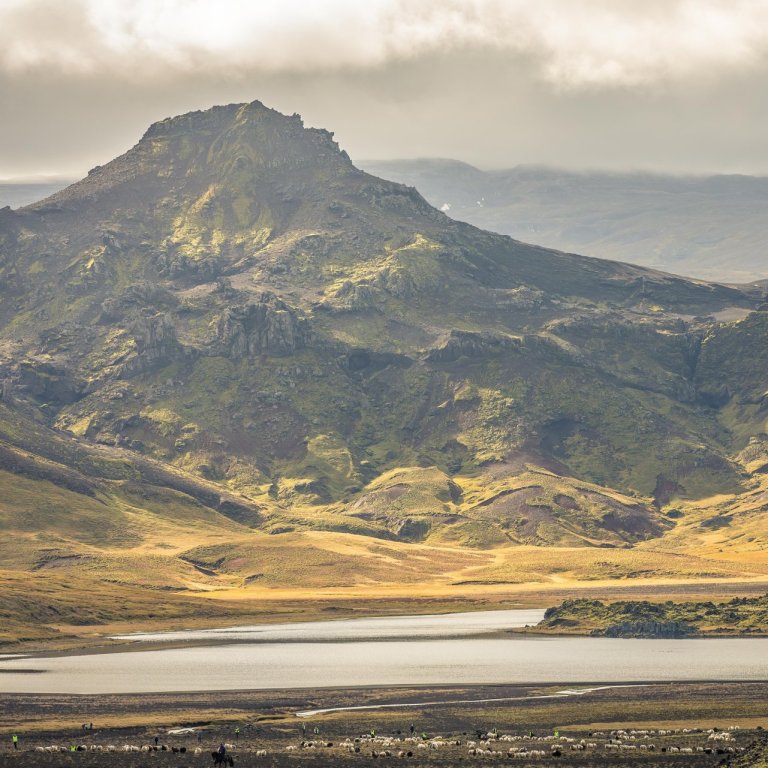Kosið í dreifbýlisráð 7. nóvember