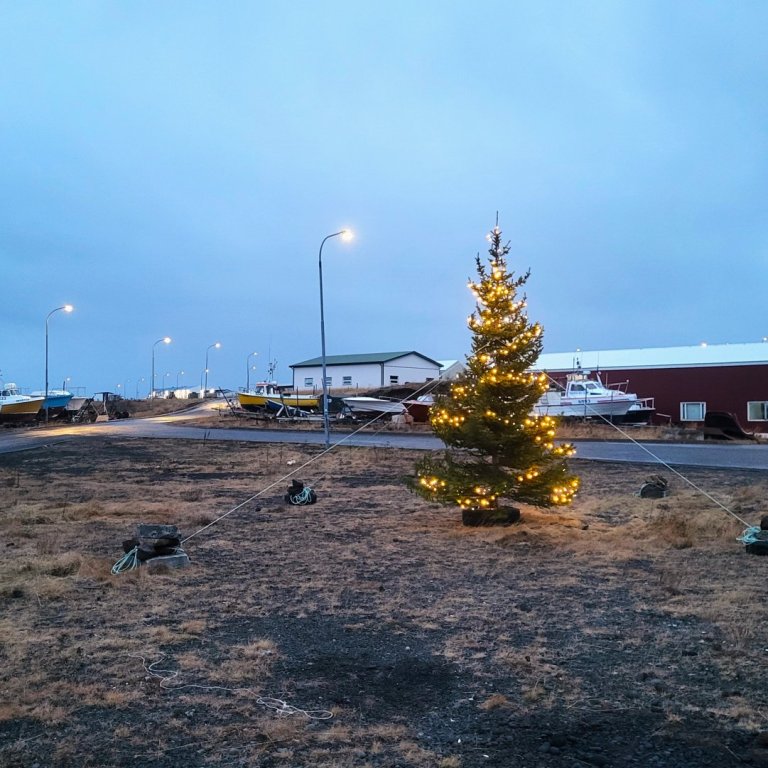 Jólatré við Skipavík