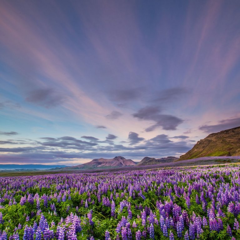 Kjörfundir vegna sveitarstjórnarkosninga 2022