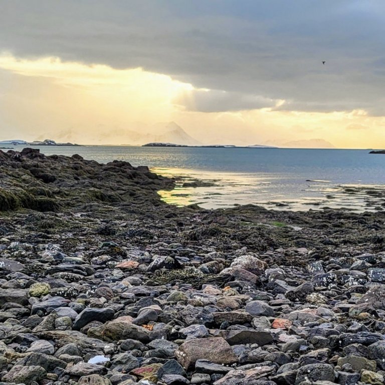 Skoða möguleika áframeldi steinbíts í nágrenni Stykkishólms í samstarfi við Matís