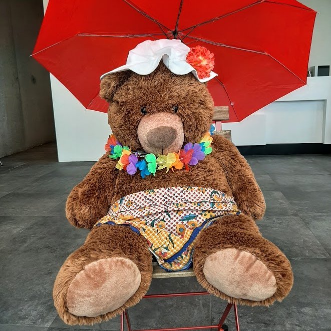 Sumarlestur Amtsbókasafnsins er hafinn