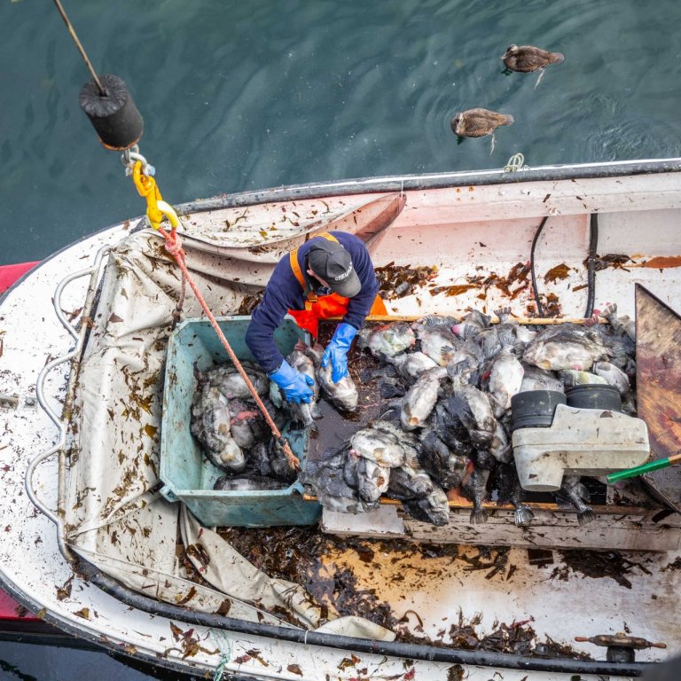 Sjávarútvegsráðherra boðar til fundar með grásleppusjómönnum við Breiðarfjörð