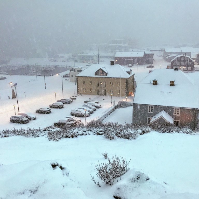 Græna tunnan tæmd í dag