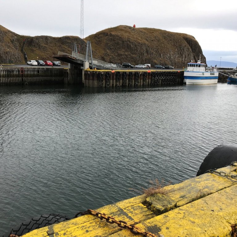 Óheimilt að synda í höfninni