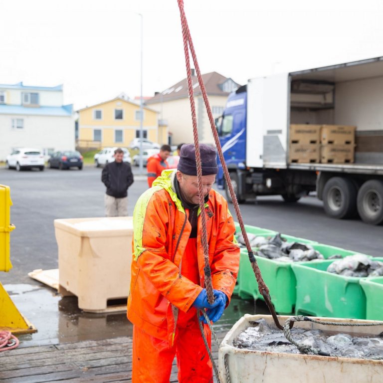 Ályktun bæjarstjórnar Stykkishólmsbæjar  vegna stöðvunar veiða á grásleppu