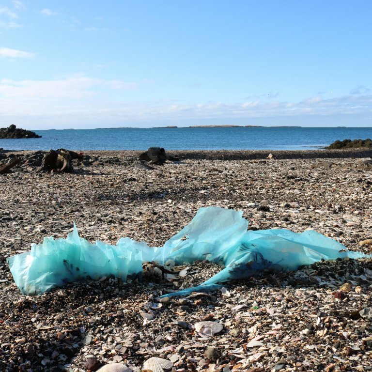 Stóri plokkdagurinn 2023