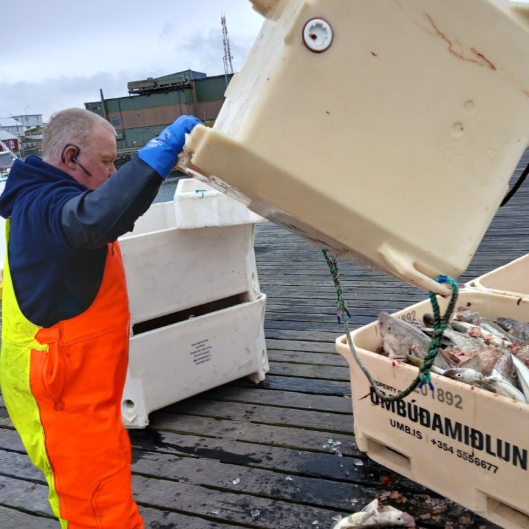 Jón Ingi landar þeim gula
