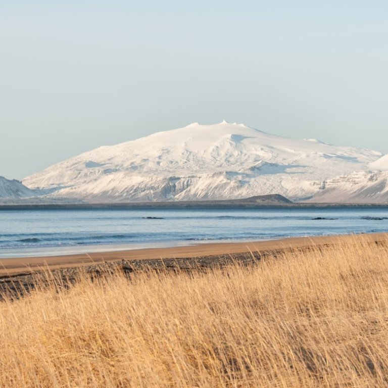 Tilsjónaraðilar óskast
