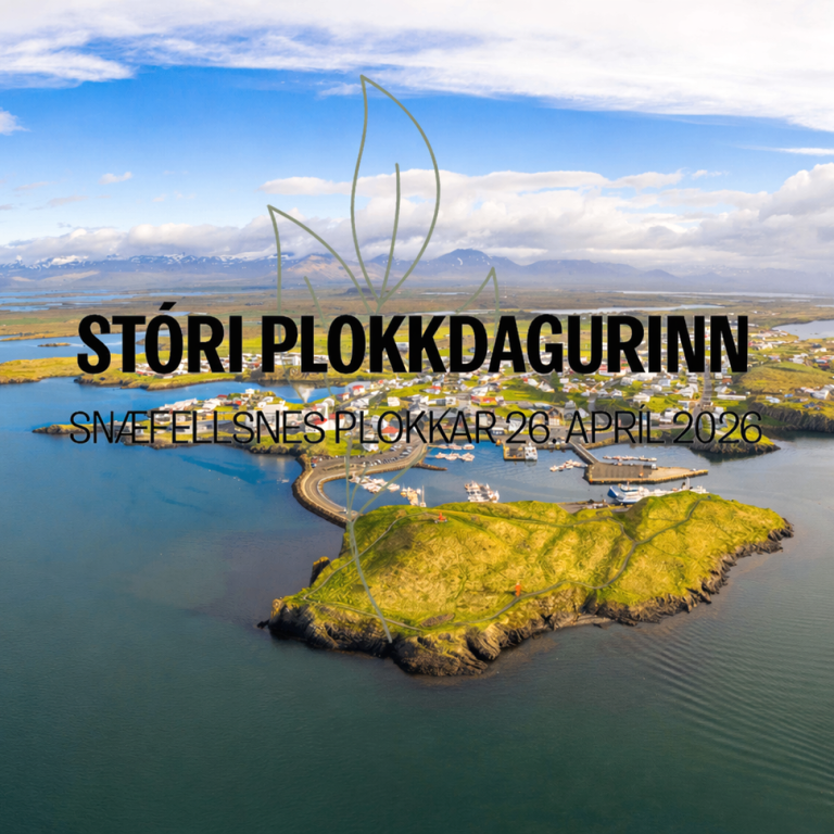 Stóri plokkdagurinn í Stykkishólmi