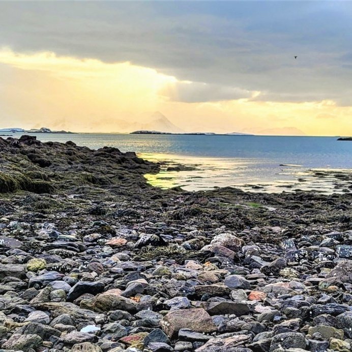 Úrskurðarnefnd ógildir byggingarleyfi við Nesveg 22a (þangvinnslu) – Óvissa með uppbyggingu á Hamrae…