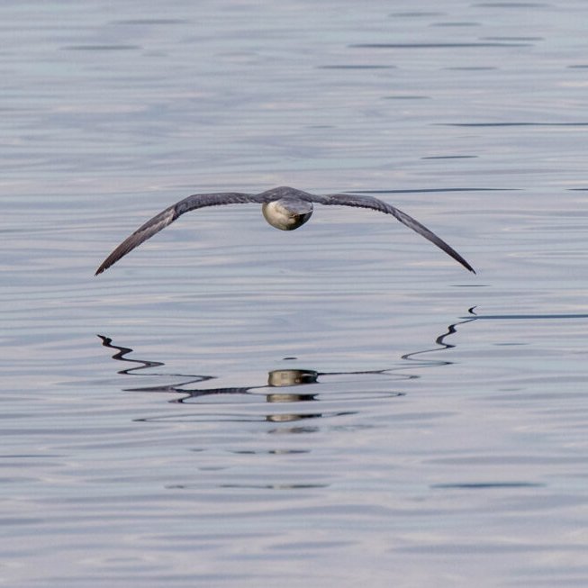 Mynd: Tómas Freyr Kristjánsson