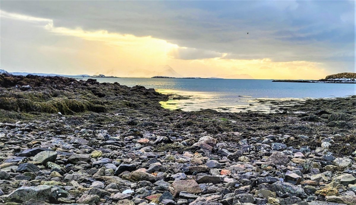 Úrskurðarnefnd ógildir byggingarleyfi við Nesveg 22a (þangvinnslu) – Óvissa með uppbyggingu á Hamrae…